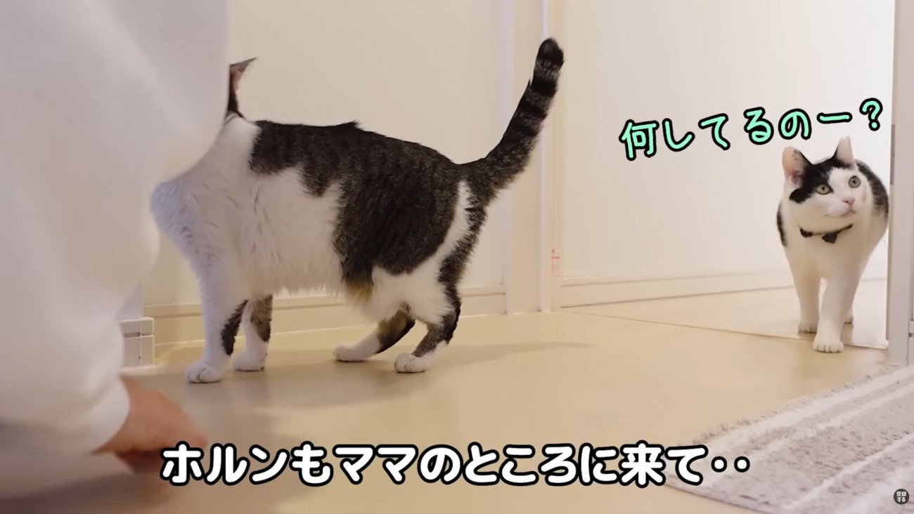 テロップ「ホルンもママの～」