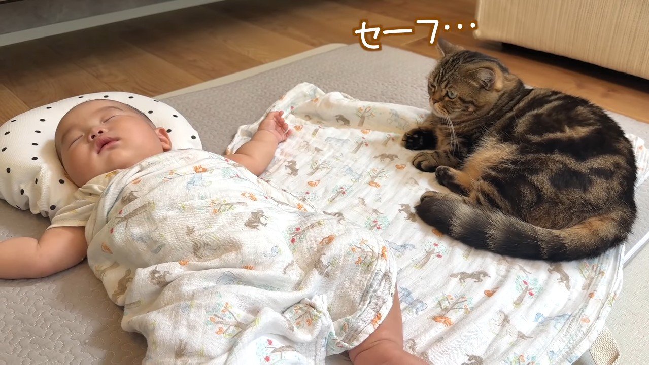 セーフ…
