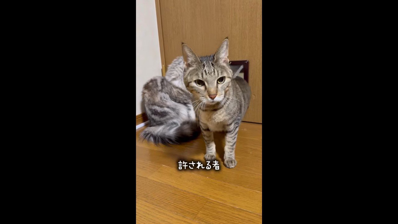 出てきたゆずくん