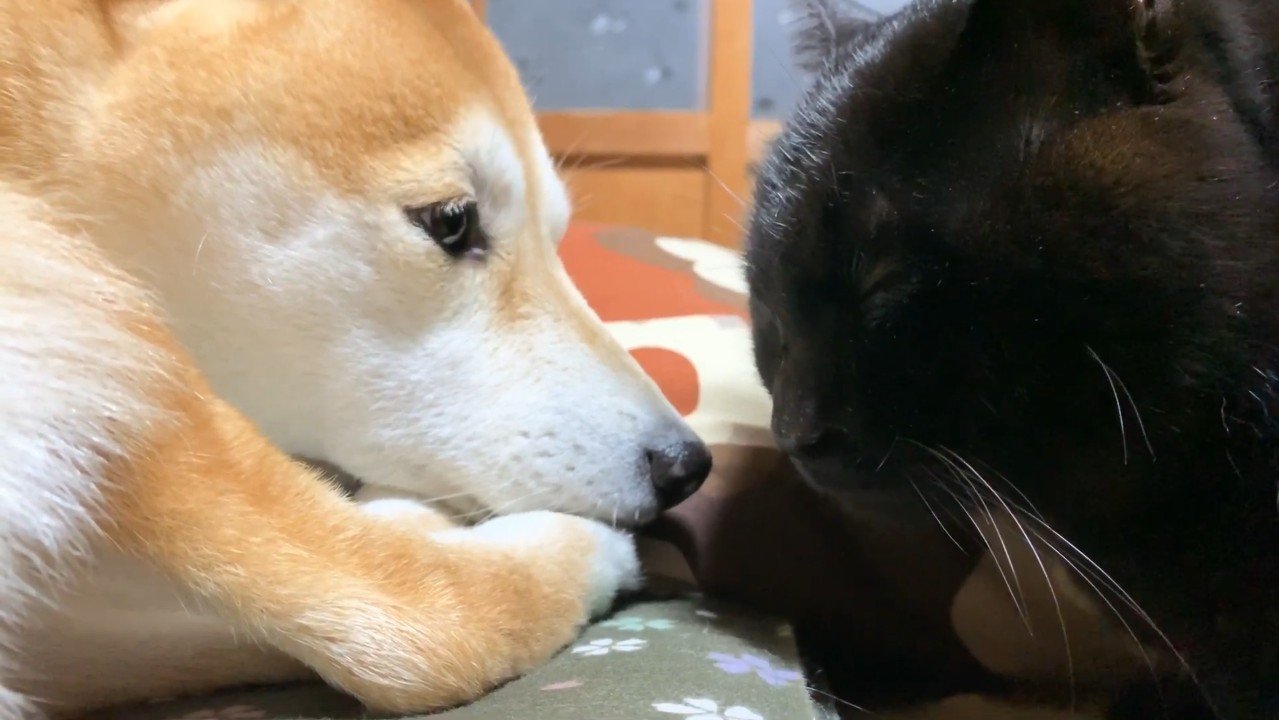至近距離のふたり