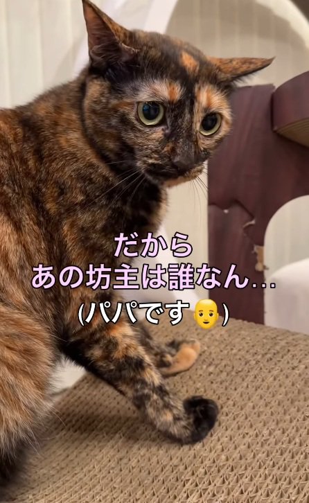 誰なの