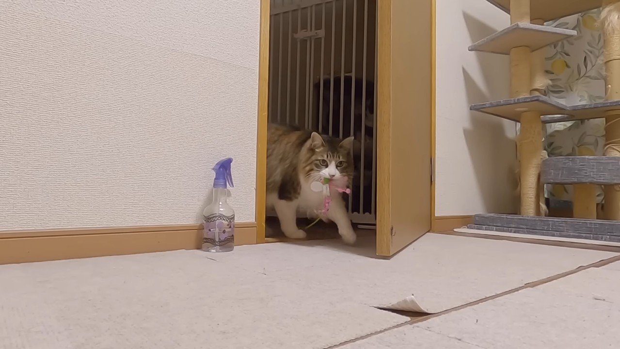 ドアの向こうから