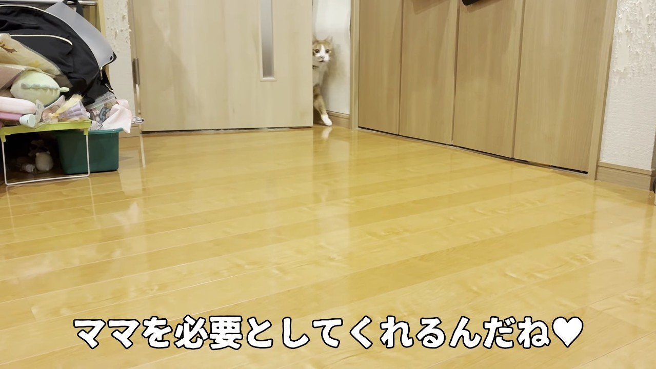 ドアの隙間から
