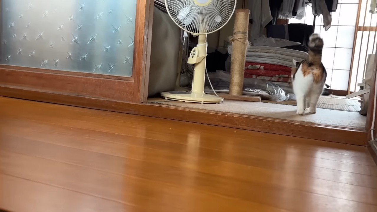後ろ姿