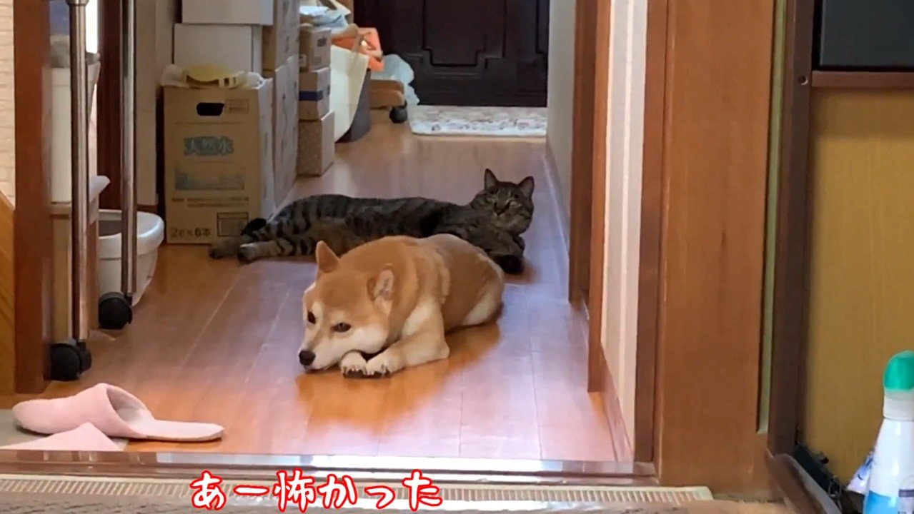 あー怖かった