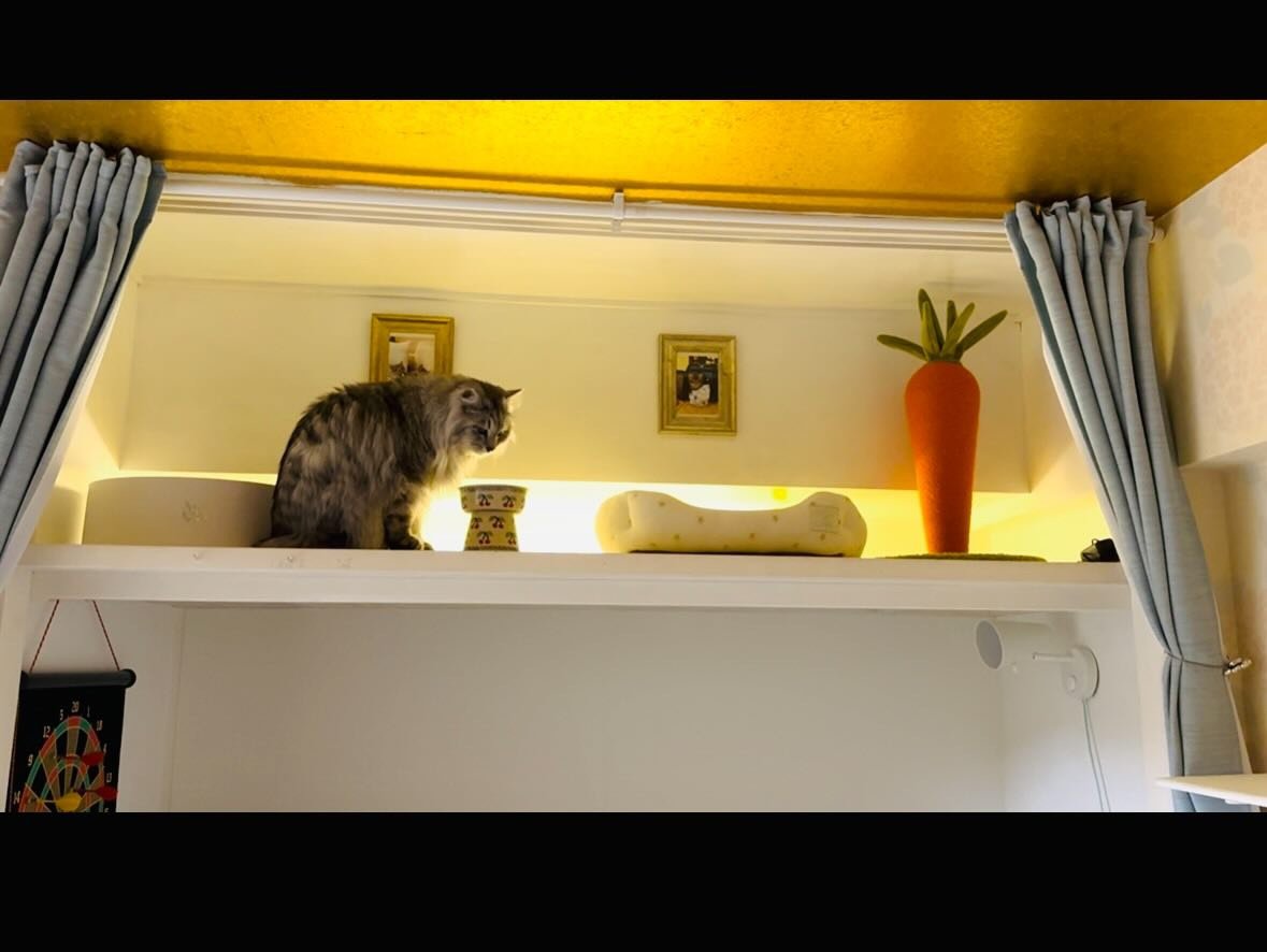 DIYした猫部屋