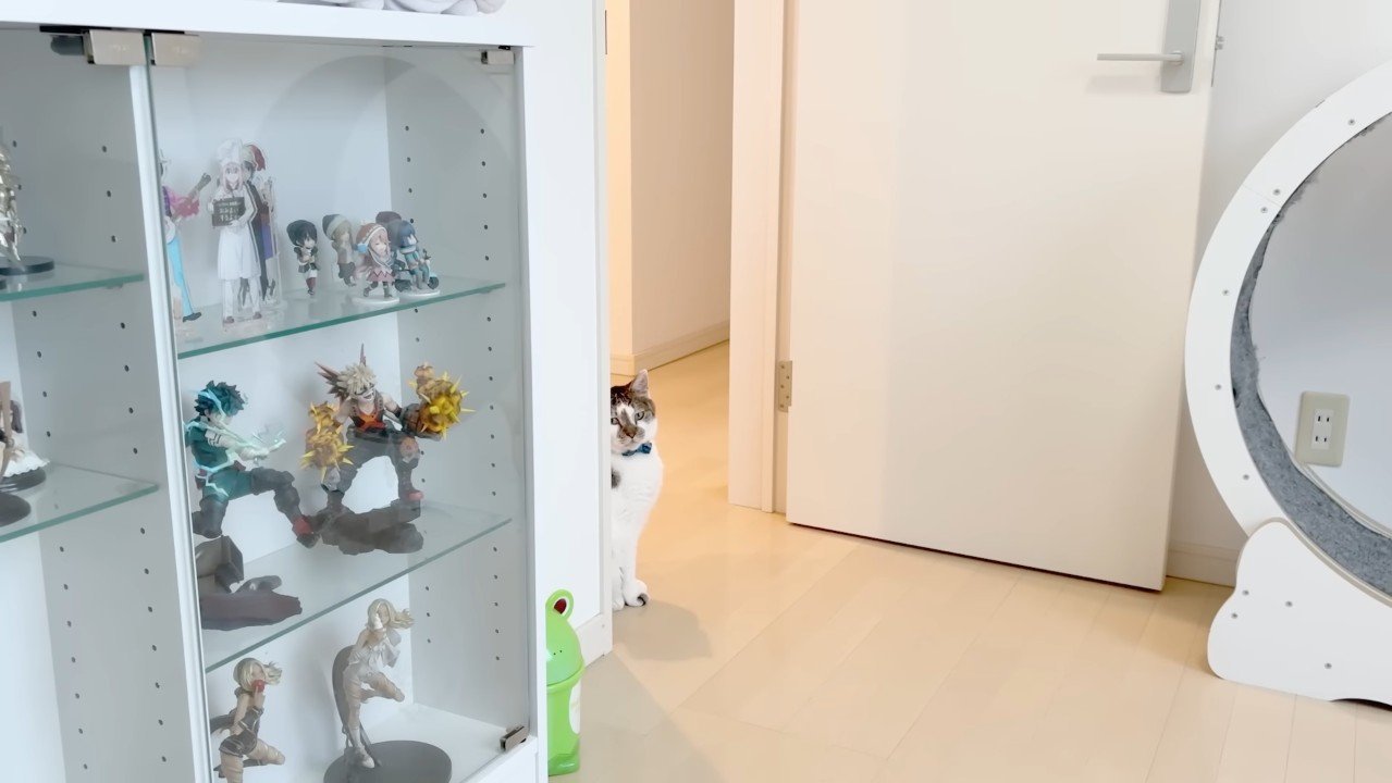 部屋の入り口から