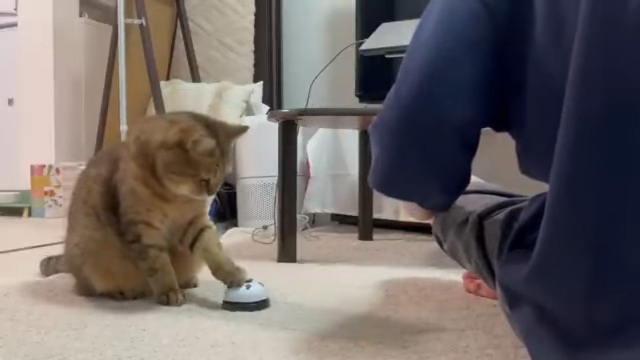 俯きながらタッチ