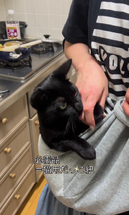 抱っこ紐に入った猫