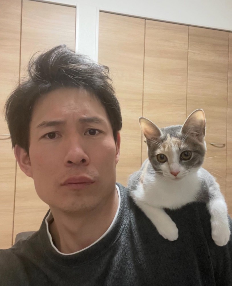 大きくなった子猫