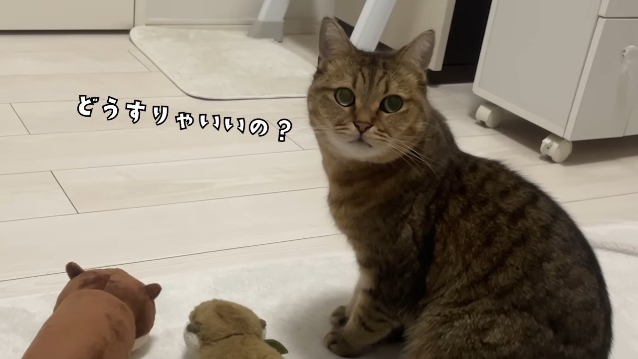 どうすりゃいいの？