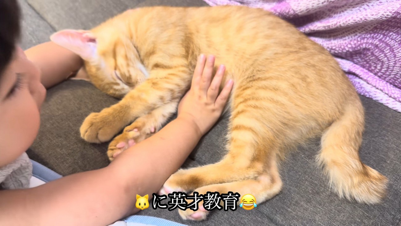 猫を寝かしつける女の子