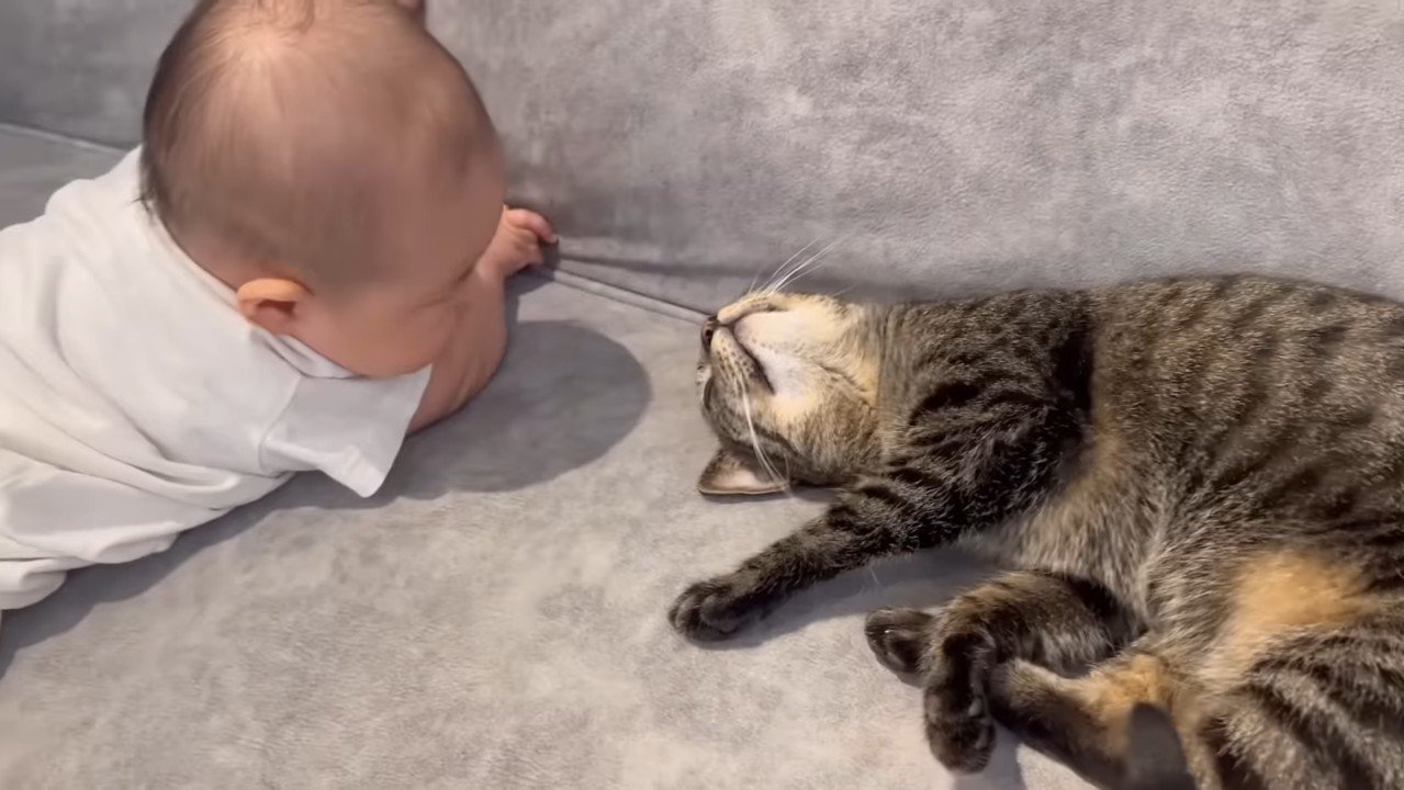 見つめ合うふたり