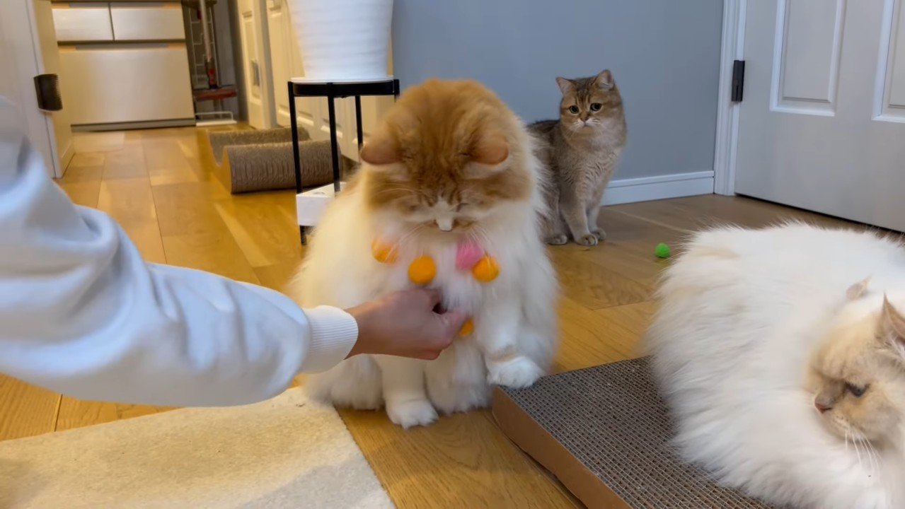 くっつけられるぽてちくん