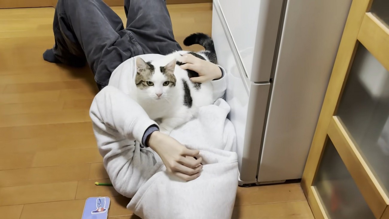 フードでお顔を隠す男の子と、お腹の上に乗る猫ちゃん（白地に黒縁模様）