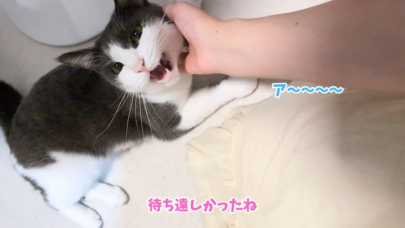 テロップ「待ち遠しかったね」