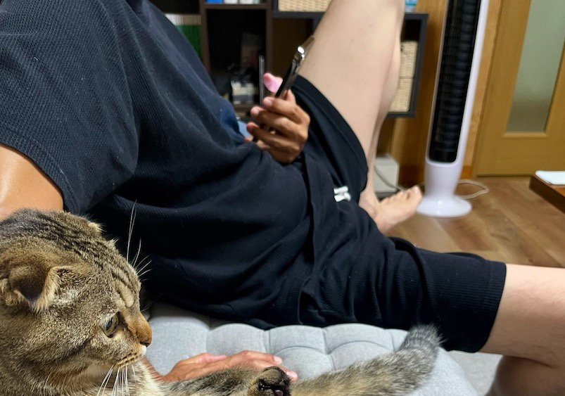 ソファに座ってスマホを触る男性