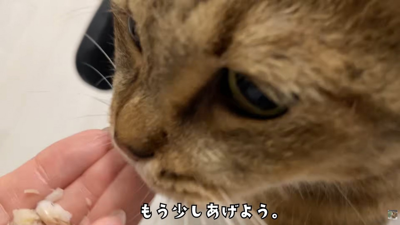 テロップ「もう少し～」
