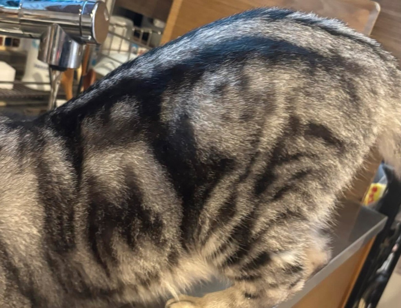 反対側のおしりアップ