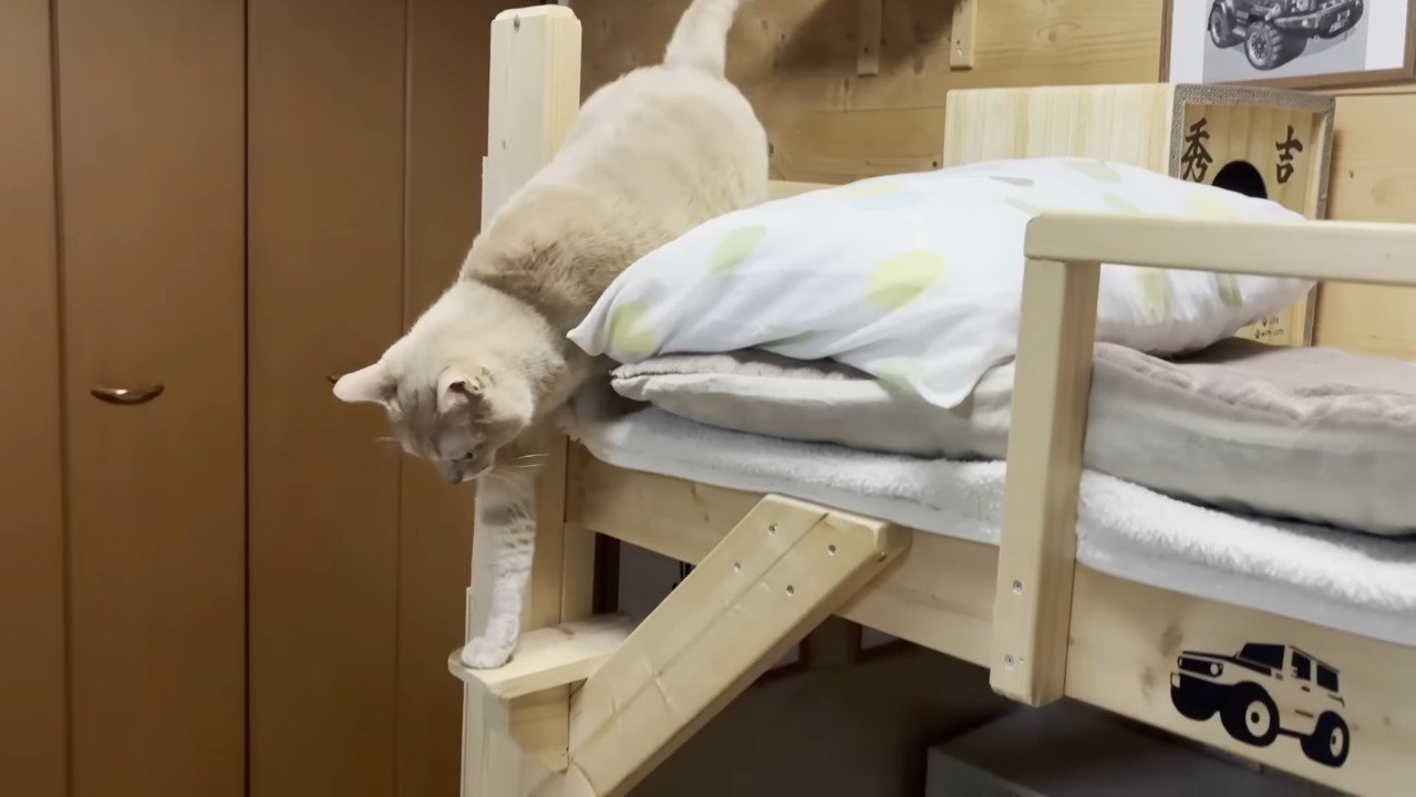 ベッドから下りるひのきちゃん