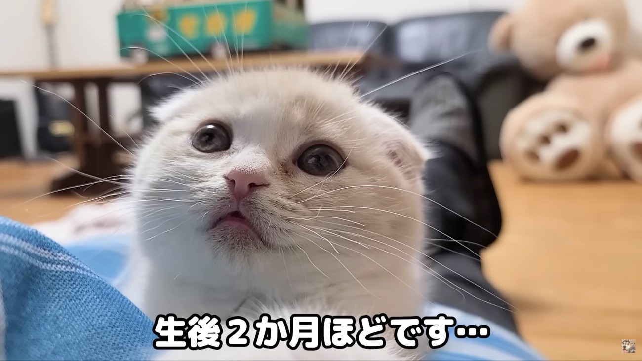 ぼーっとしているじゅんちゃん