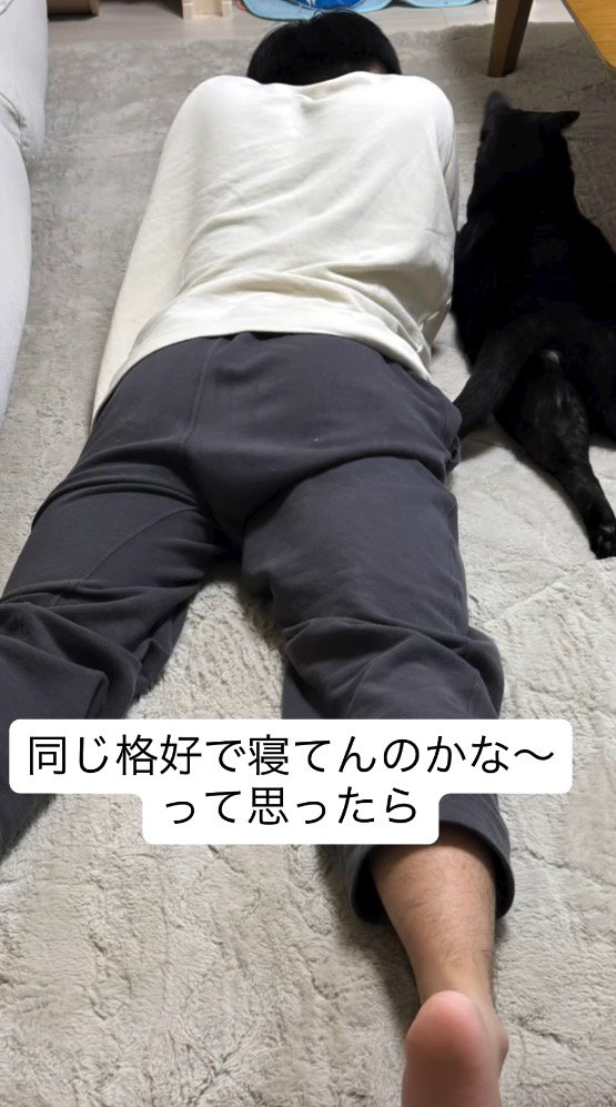 カーペットの上に寝転がる猫と男の子