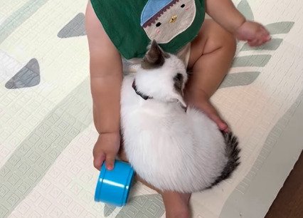 赤ちゃんの足の間で体を丸めるつなちゃん