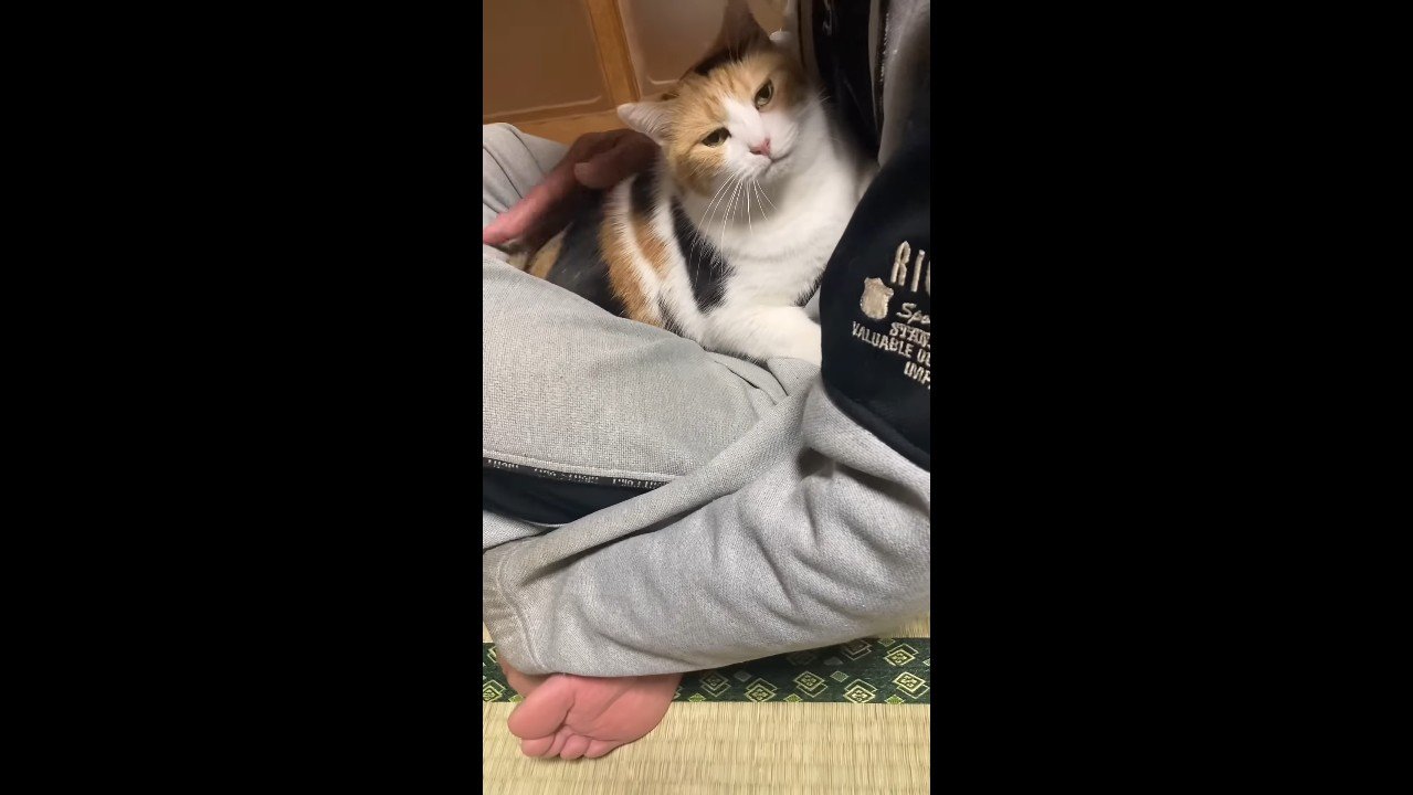 カメラ目線