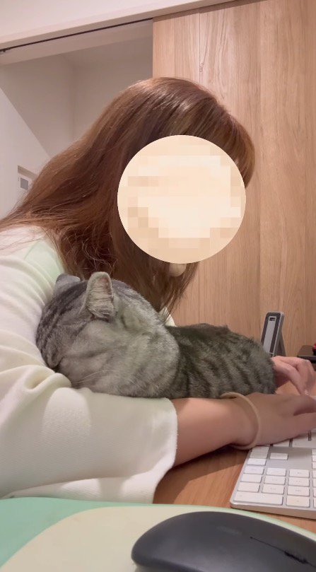 パソコン作業をする女性の腕に顔を押しつける猫