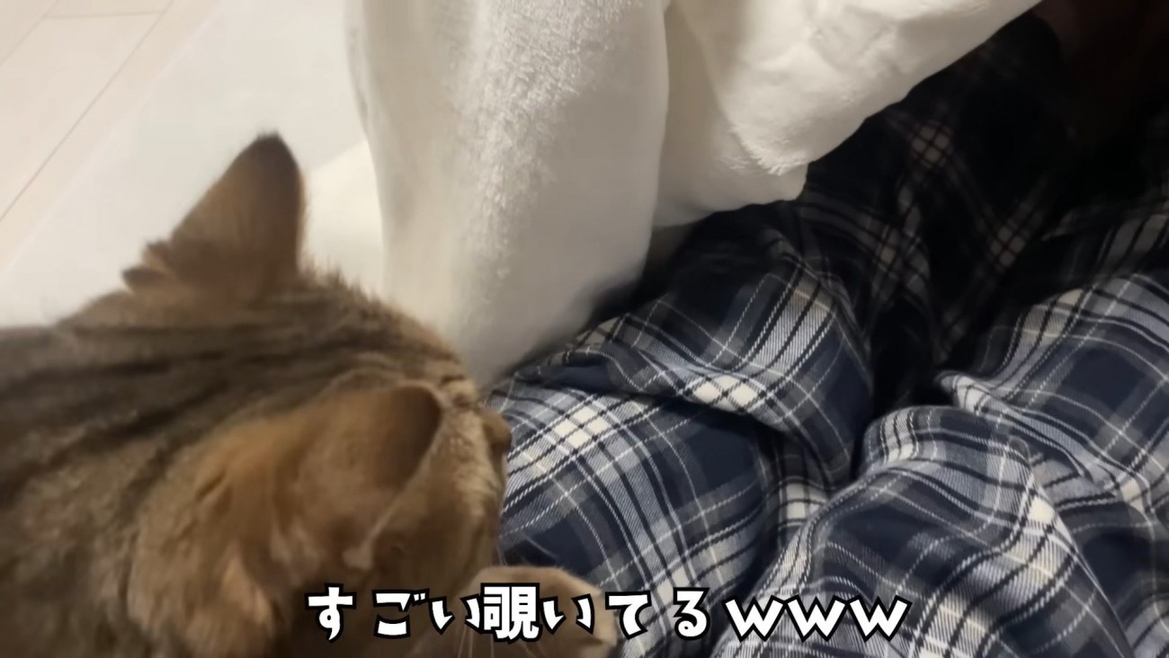 膝からのぞくみにらくん