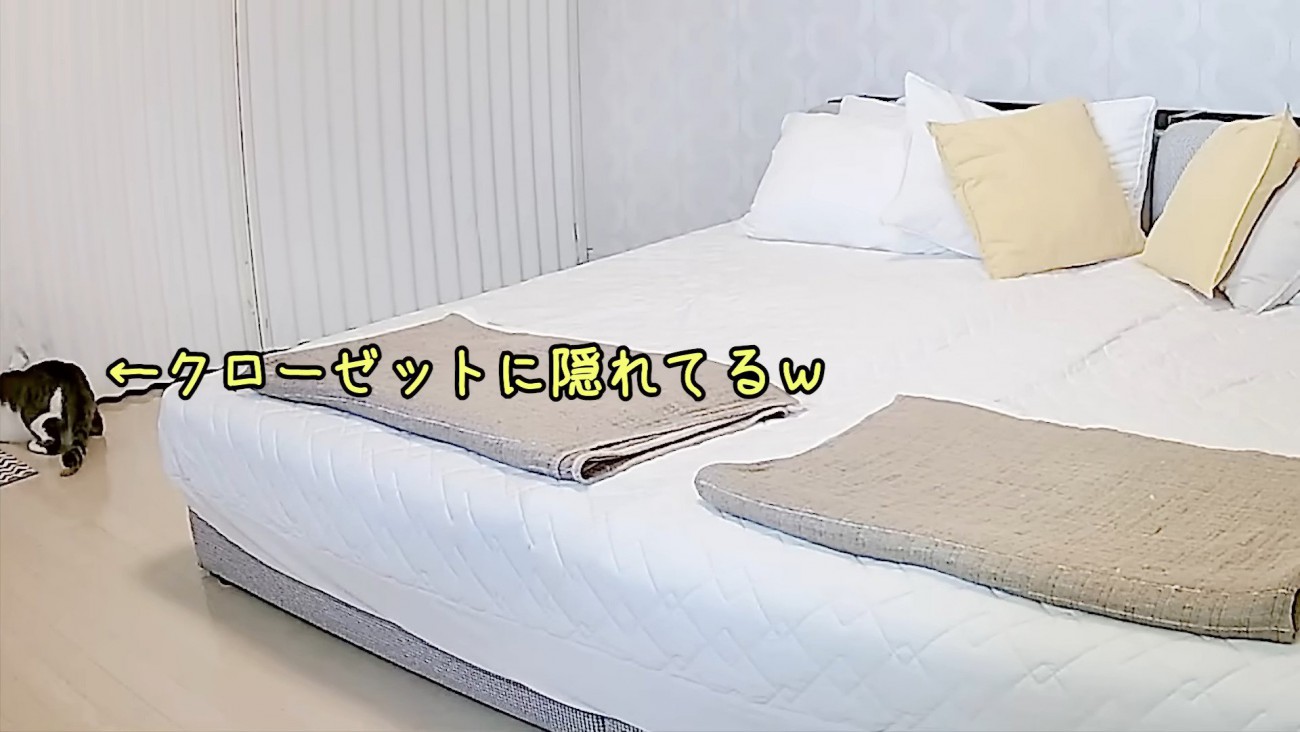 クローゼットへ逃げ込むささみくん