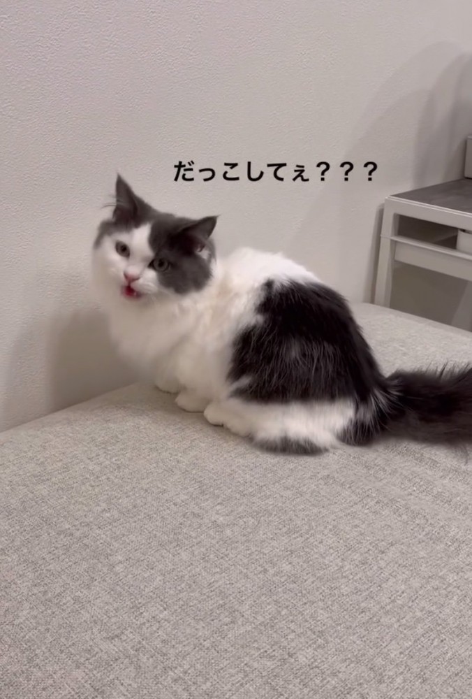 「抱っこして」
