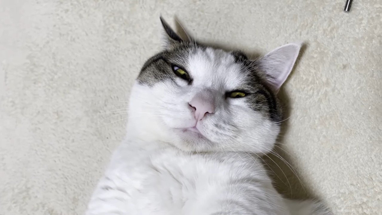 顔のアップ