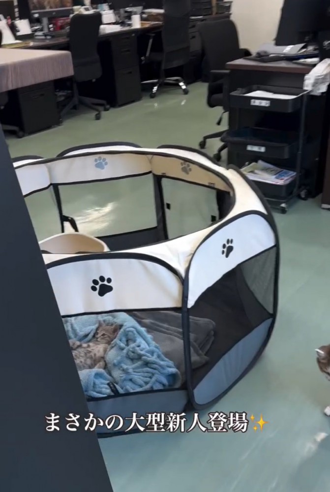 サークルに近づく