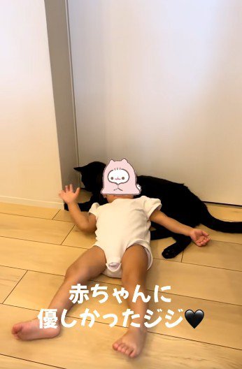 赤ちゃんに乗られている猫
