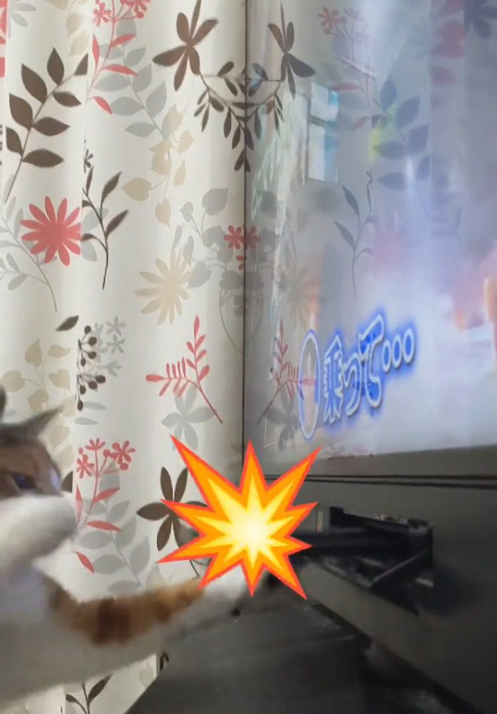 猫パンチする猫