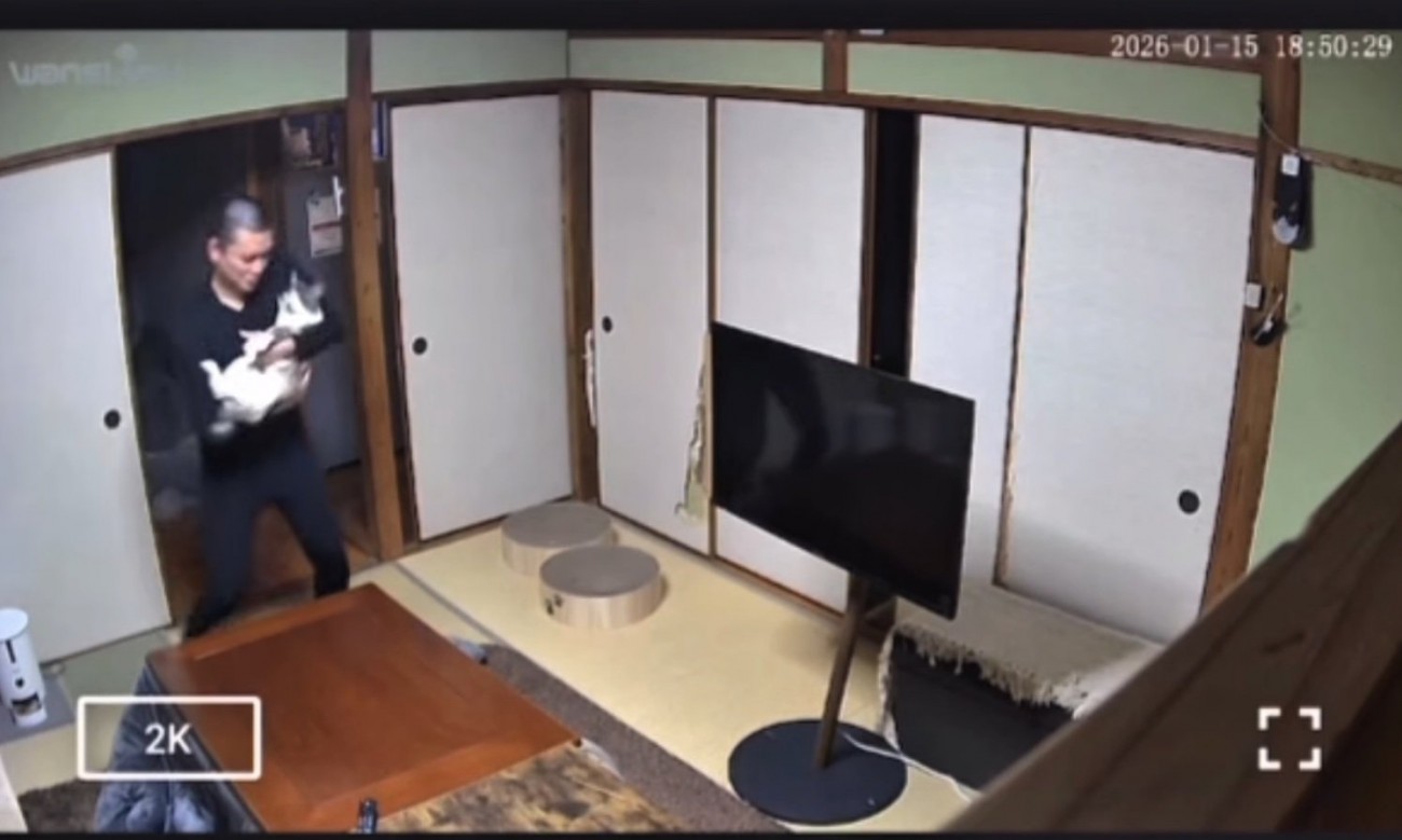 猫を抱っこしてステップを踏む男性2