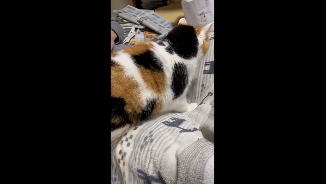 お父さんのひざへ入る