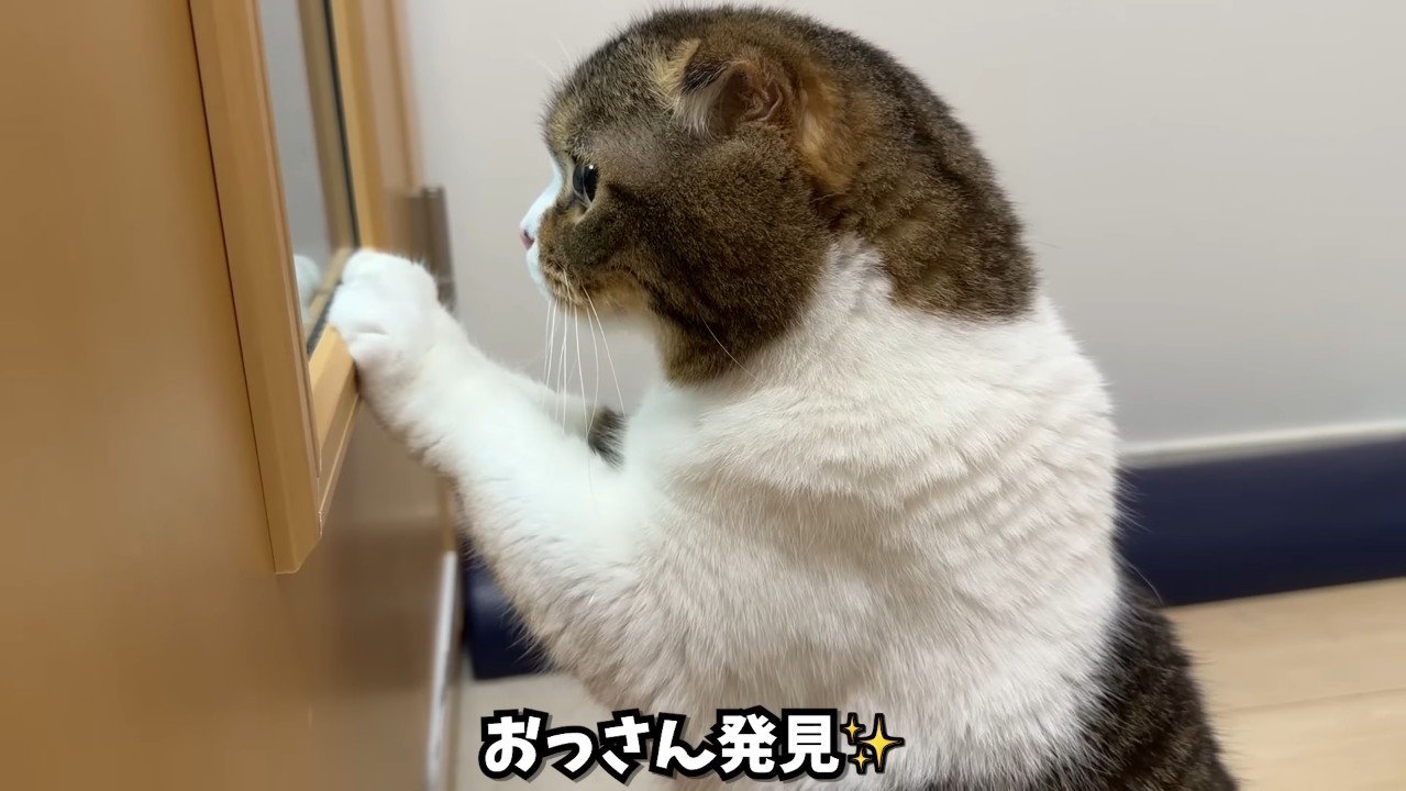 おっさん発見