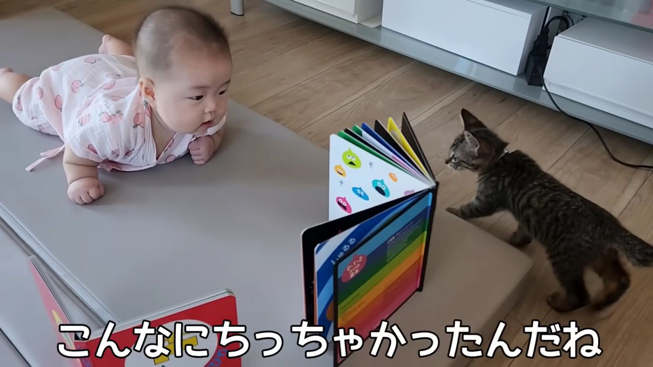 テロップ「こんなに～」