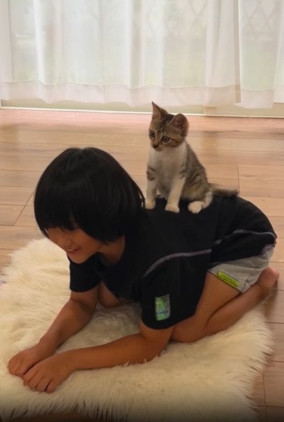 女の子の背中の上に乗る子猫
