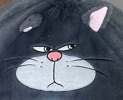 ペットハウスの猫の顔