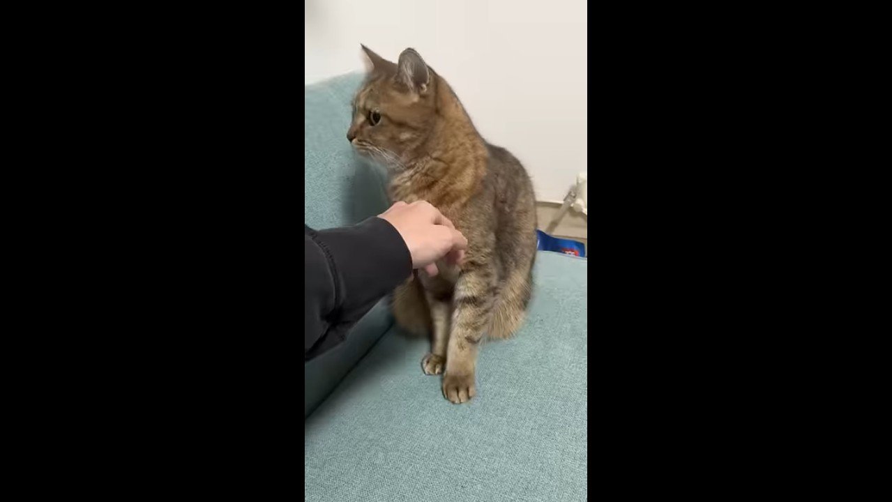 そっぽを向いて