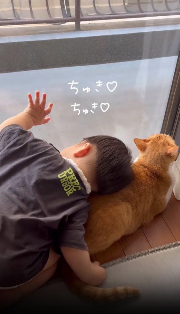 猫にスリスリする赤ちゃん