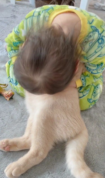 猫を抱きしめる女の子