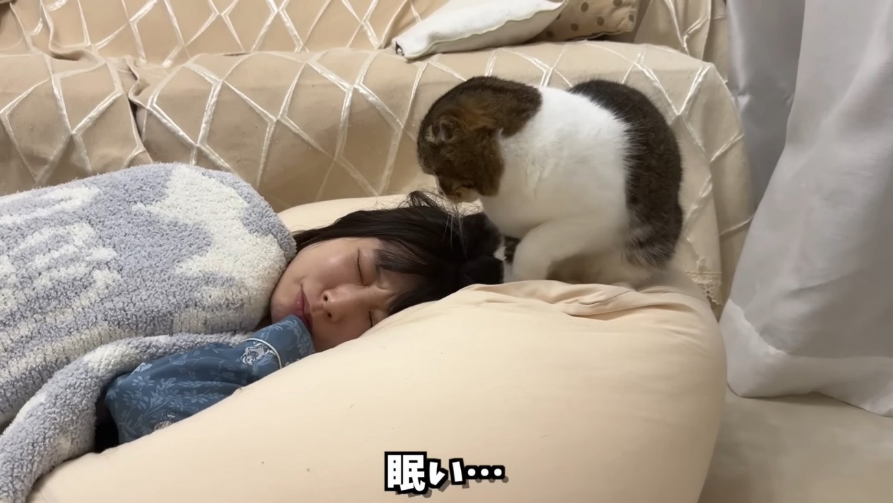 ママを見つめるぽこ太郎くん