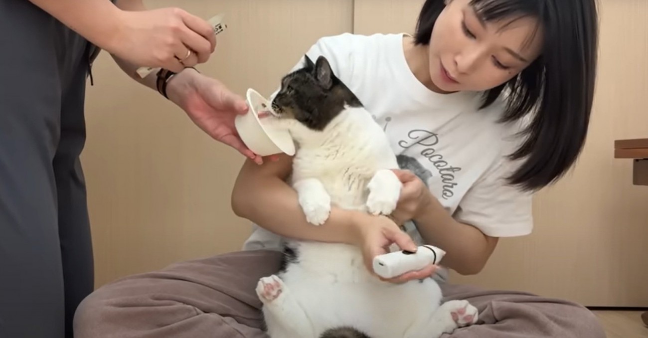 猫の様子