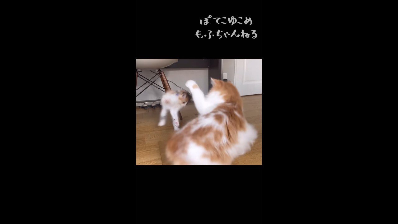 飛び跳ねるうなぎちゃん