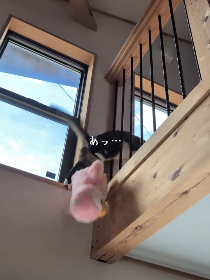 落ちるぬいぐるみ