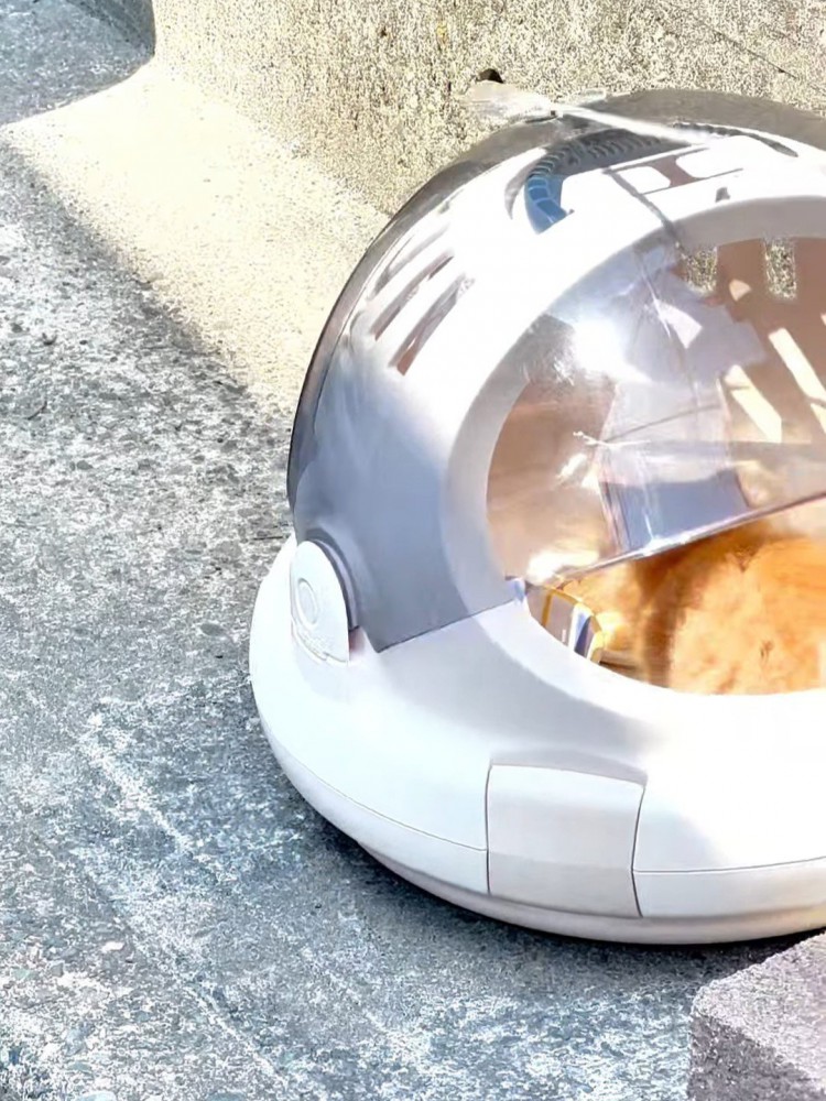 フタが閉まるキャリー